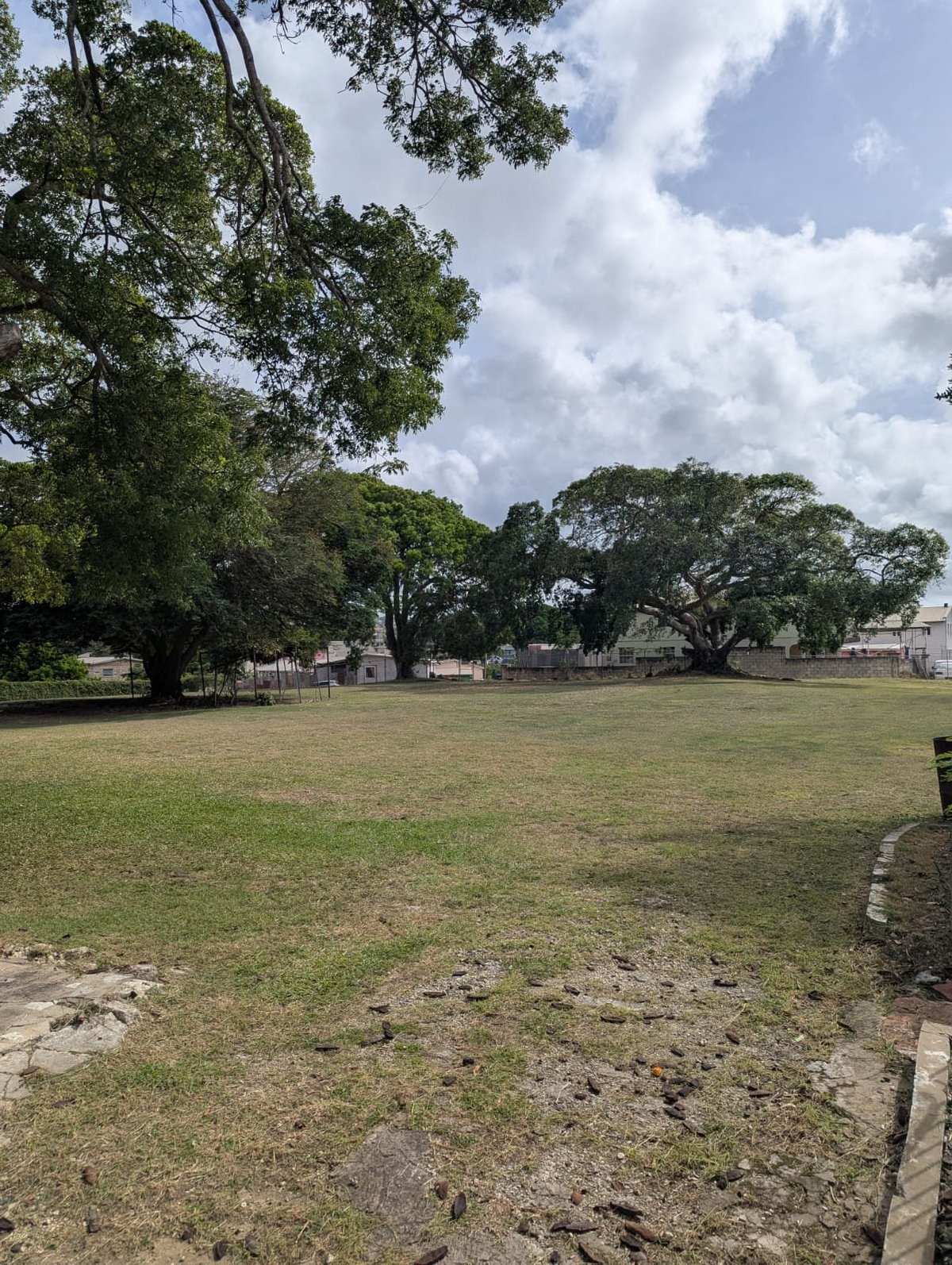 Open grass field with large mature trees scattered throughout under a partly cloudy sky at Jackson House Grounds, St. Michael, Barbados